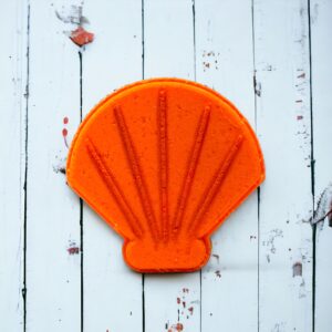 Shell Bath Bomb Orange